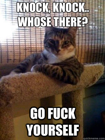 Knock, Knock..
Whose there? Go fuck yourself  The Most Interesting Cat in the World
