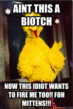 Aint this a Biotch Now this Idiot Wants to fire me too!! FOH Mittens!!!  too Big Bird