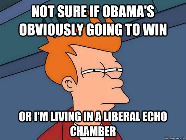 Not sure if Obama's obviously going to win Or I'm living in a liberal echo chamber  Futurama Fry