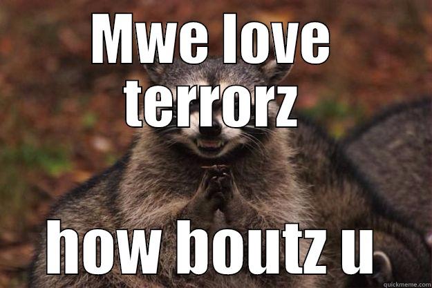 MWE LOVE TERRORZ HOW BOUTZ U Evil Plotting Raccoon