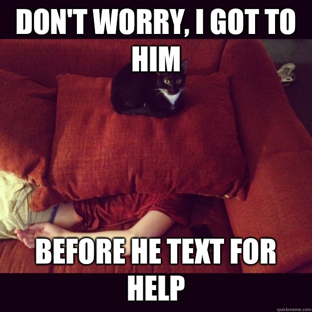 Don't worry, I got to him Before he text for help  jealous cat