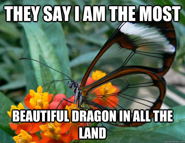 they say i am The Most Beautiful dragon in all the land  Butterdragon