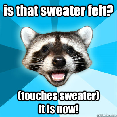 is that sweater felt? (touches sweater)                   it is now!  Lame Pun Coon