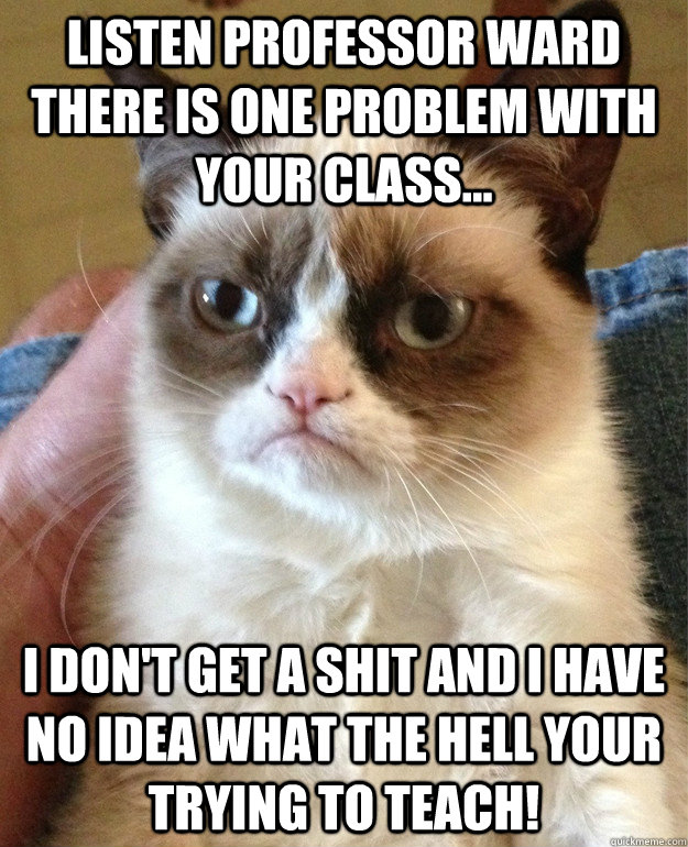 Listen Professor Ward There is one problem with your class... I don't get a shit and I have no idea what the hell your trying to teach!   Grumpy Cat