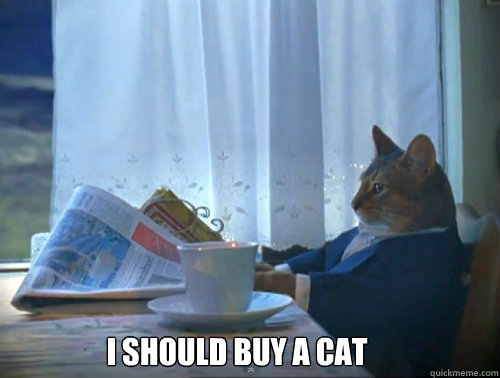  i should buy a cat  The One Percent Cat