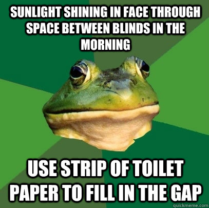 Sunlight shining in face through space between blinds in the morning Use strip of toilet paper to fill in the gap  Foul Bachelor Frog