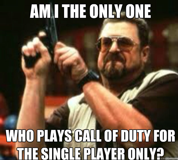 am i the only one who plays call of duty for the single player only?  Angey Walter
