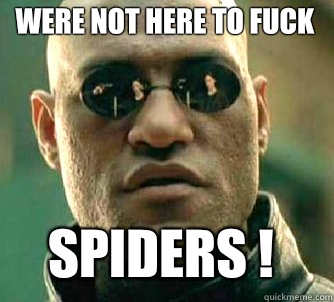 Were not here to fuck Spiders !  Matrix Morpheus