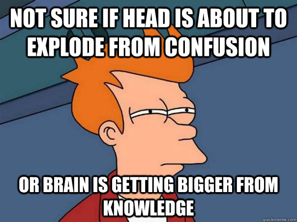 Not sure if head is about to explode from confusion Or brain is getting bigger from knowledge - Not sure if head is about to explode from confusion Or brain is getting bigger from knowledge  Futurama Fry