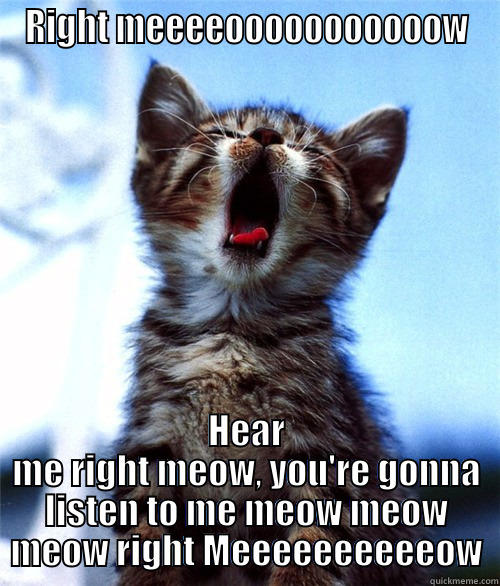 RIGHT MEEEEOOOOOOOOOOOW HEAR ME RIGHT MEOW, YOU'RE GONNA LISTEN TO ME MEOW MEOW MEOW RIGHT MEEEEEEEEEEOW Misc