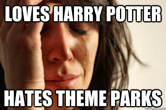 loves Harry Potter hates theme parks  First World Problems