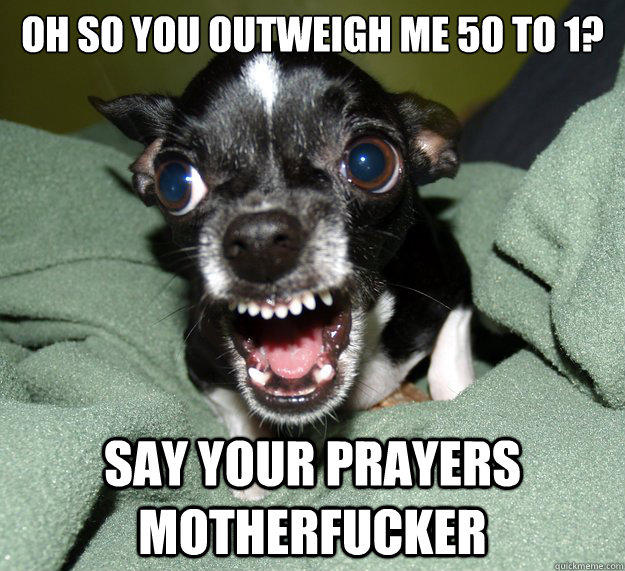 Oh so you outweigh me 50 to 1? say your prayers motherfucker  