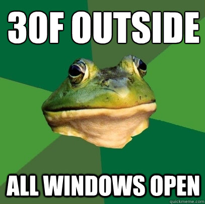 30°F outside all windows open  Foul Bachelor Frog