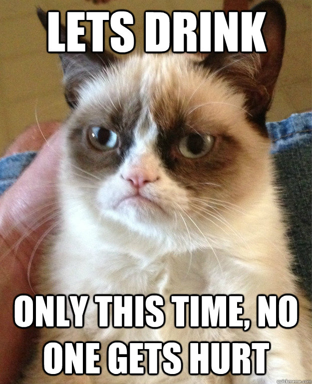 Lets drink only this time, no one gets hurt - Lets drink only this time, no one gets hurt  Grumpy Cat