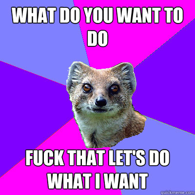 What do you want to do Fuck that let's do what I want  Stupid Boyfriend Mongoose