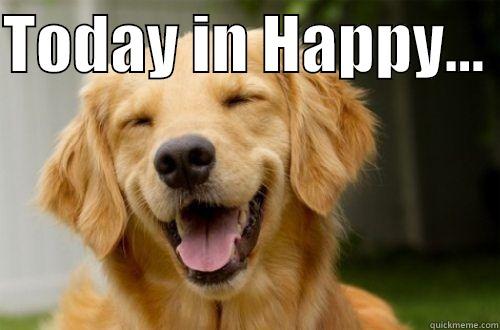 TODAY IN HAPPY...   Misc