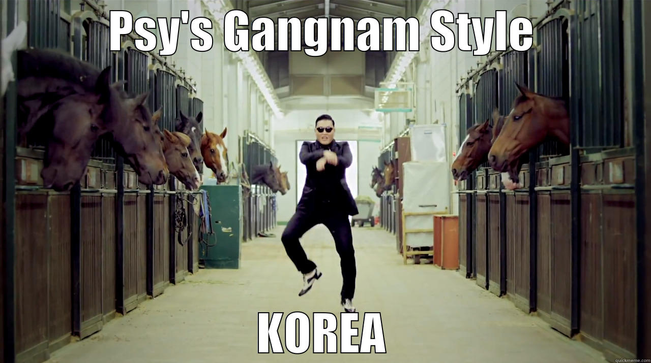 PSY'S GANGNAM STYLE KOREA Misc