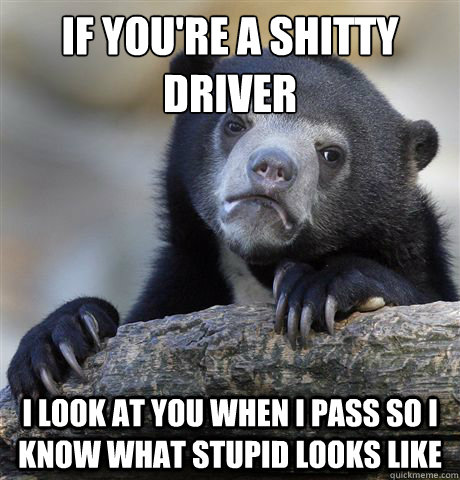 if you're a shitty driver I look at you when I pass so i know what stupid looks like - if you're a shitty driver I look at you when I pass so i know what stupid looks like  Confession Bear