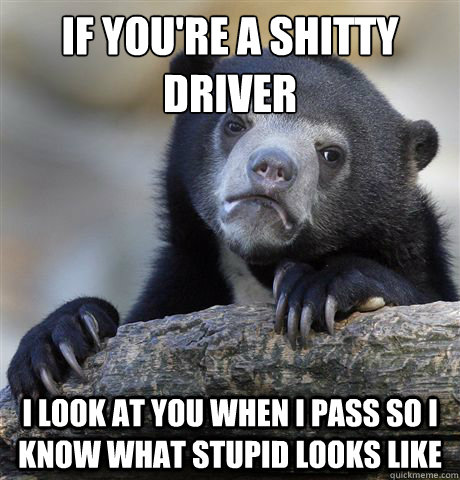 if you're a shitty driver I look at you when I pass so i know what stupid looks like  Confession Bear
