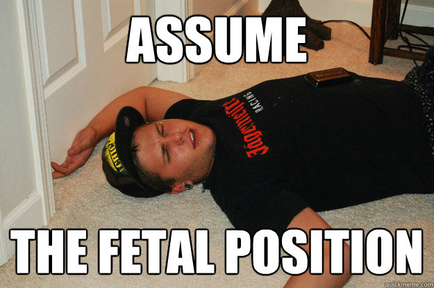 Assume the fetal position - Assume the fetal position  meow
