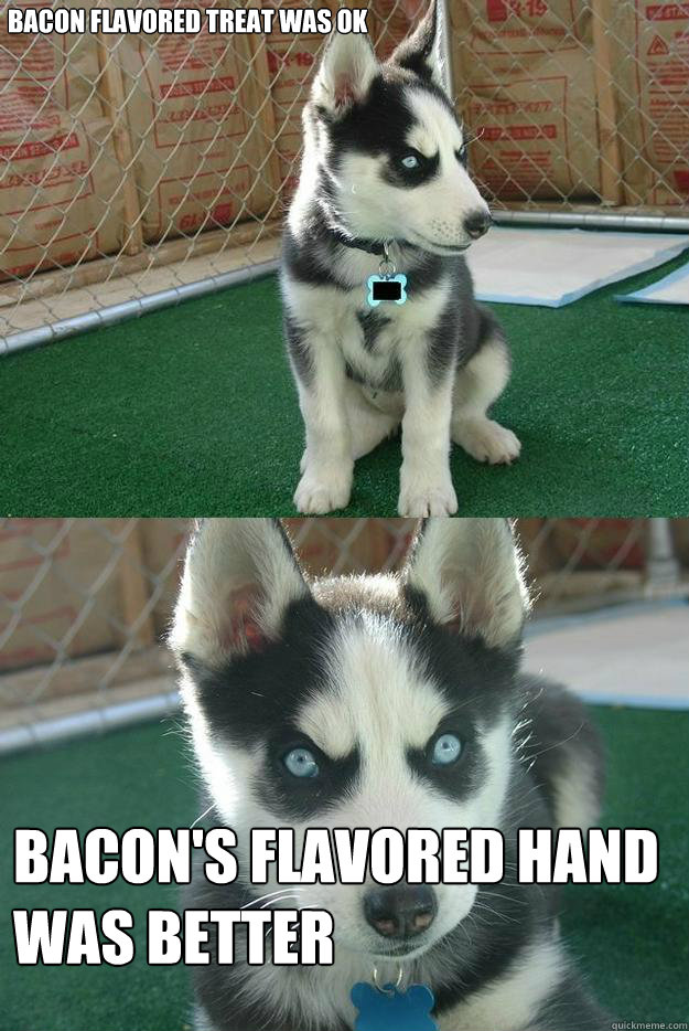 Bacon flavored treat was ok Bacon's flavored hand was better  Insanity puppy