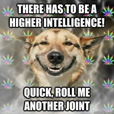 There has to be a higher intelligence! Quick, roll me another Joint  Stoner Dog