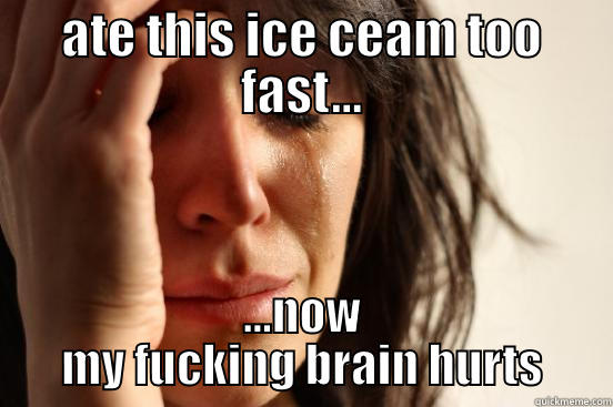 ATE THIS ICE CEAM TOO FAST... ...NOW MY FUCKING BRAIN HURTS First World Problems
