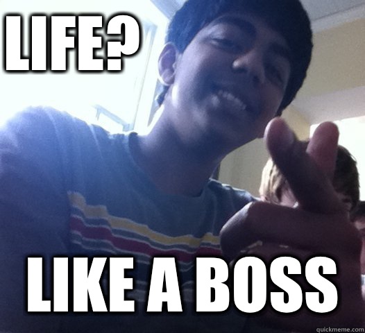 Life? Like a boss - Life? Like a boss  Got Swag