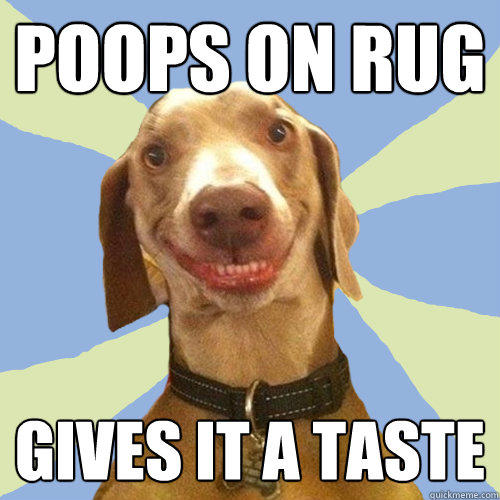 Poops on rug Gives it a taste  Disgusting Doggy