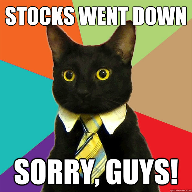 Stocks went down Sorry, guys!  Business Cat