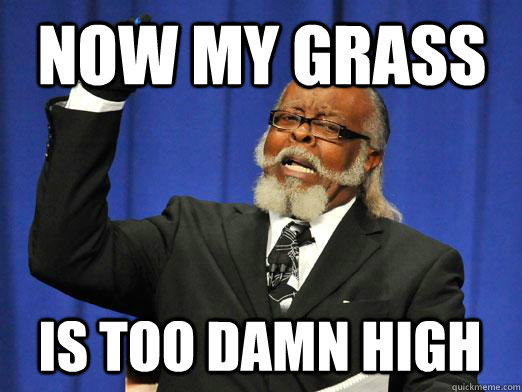 now my grass IS too damn high  I am too damn high