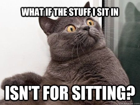 What if the stuff I sit in Isn't for sitting? - What if the stuff I sit in Isn't for sitting?  conspiracy cat