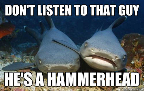 Don't listen to that guy He's a hammerhead  