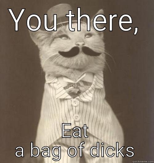 YOU THERE, EAT A BAG OF DICKS Original Business Cat