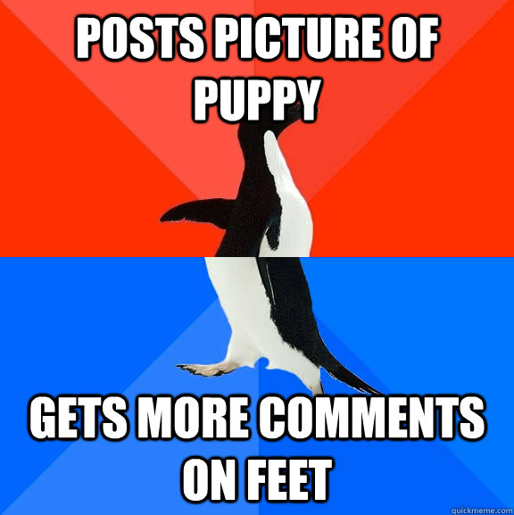 Posts Picture of Puppy Gets more comments on feet - Posts Picture of Puppy Gets more comments on feet  Socially Awesome Awkward Penguin