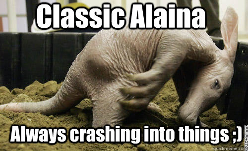 Classic Alaina Always crashing into things ;)  Awkward Aardvark
