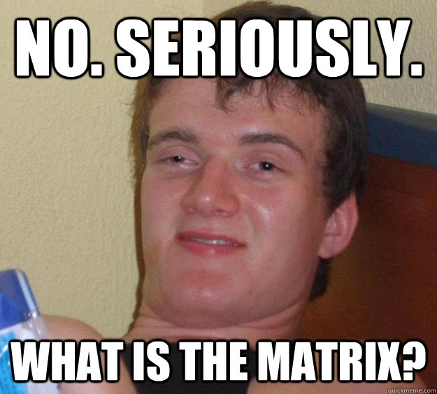 no. seriously. what is the matrix? - no. seriously. what is the matrix?  10 Guy
