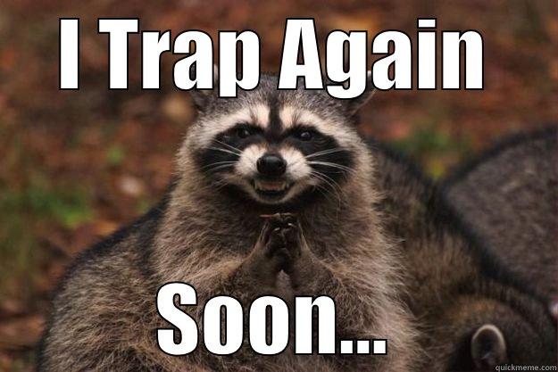 I TRAP AGAIN SOON... Evil Plotting Raccoon