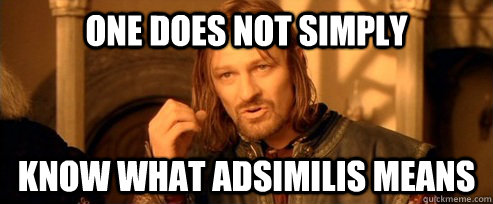 One does not simply know what Adsimilis means  One Does Not Simply