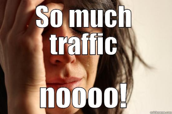 SO MUCH TRAFFIC NOOOO! First World Problems