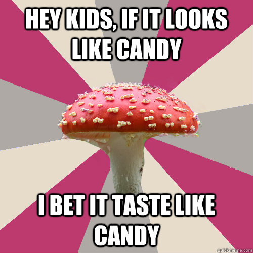hey kids, if it looks like candy i bet it taste like candy - hey kids, if it looks like candy i bet it taste like candy  Misc