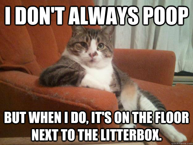 I don't always poop But when I do, it's on the floor next to the litterbox.  Fat Cat