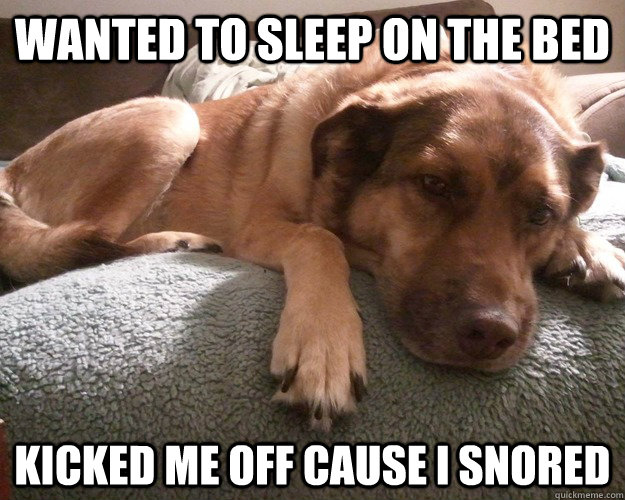 Wanted to sleep on the bed kicked me off cause i snored  First World Dog problems