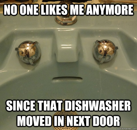 no one likes me anymore since that dishwasher moved in next door  Emotionally Scarred Sink