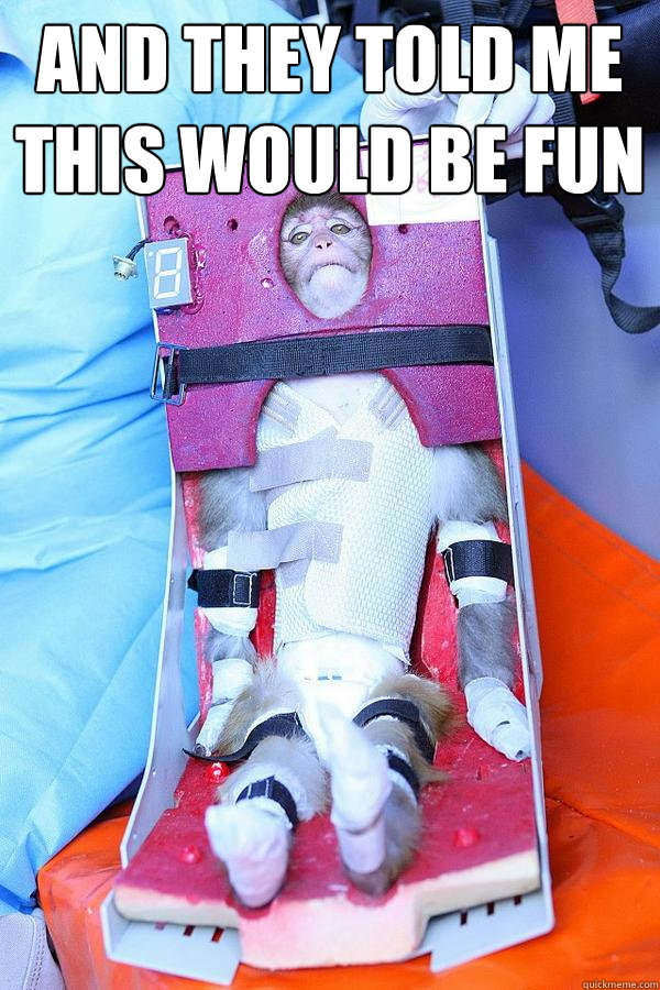 aND THEY TOLD ME THIS WOULD BE FUN   Disappointed Space Monkey