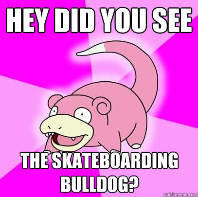 hey did you see the skateboarding bulldog?  Slowpoke