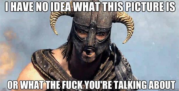 I have no idea what this picture is or what the fuck you're talking about   skyrim