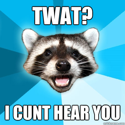 twat? I cunt hear you  Lame Pun Coon