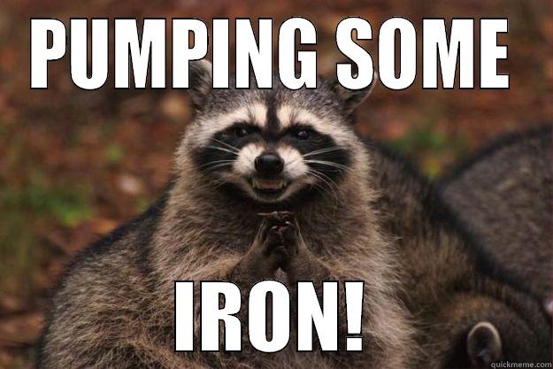 PUMPING SOME IRON! Evil Plotting Raccoon