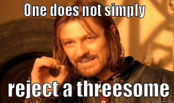       ONE DOES NOT SIMPLY           REJECT A THREESOME One Does Not Simply